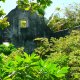 16- Ruines envahies par la vegetation 